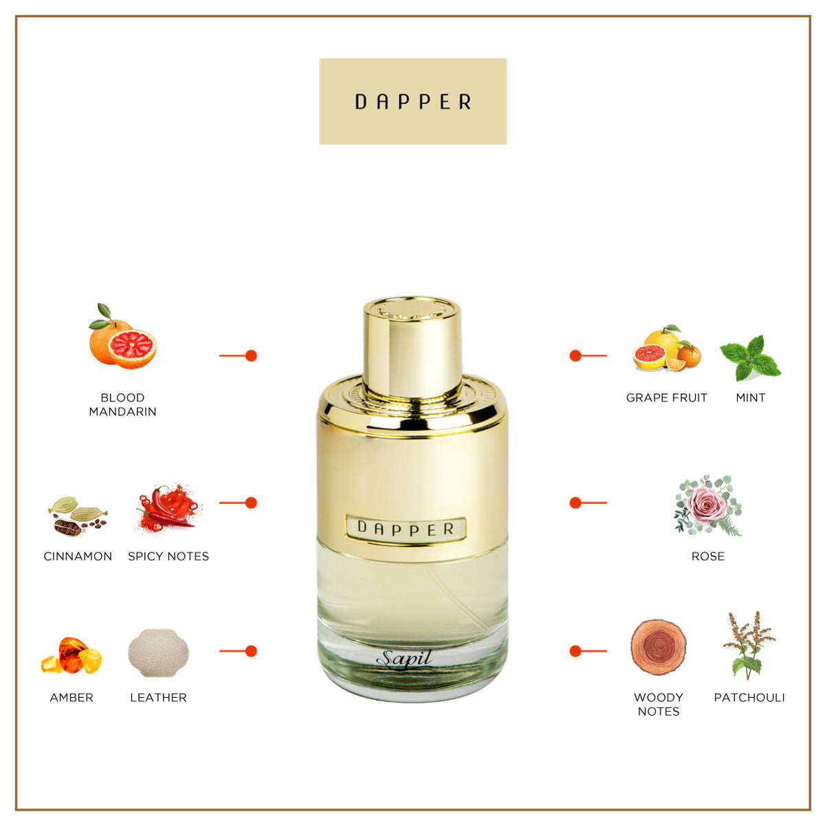 Sapil Dapper for Him - 100ml EDP