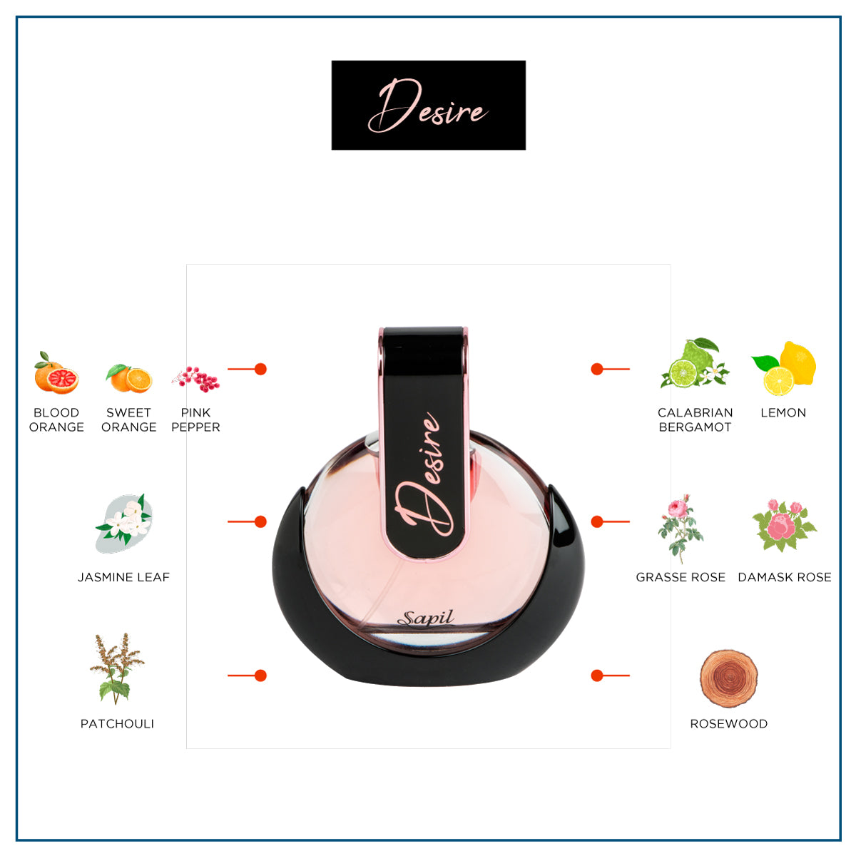 Sapil Desire for Her - 80ml EDP